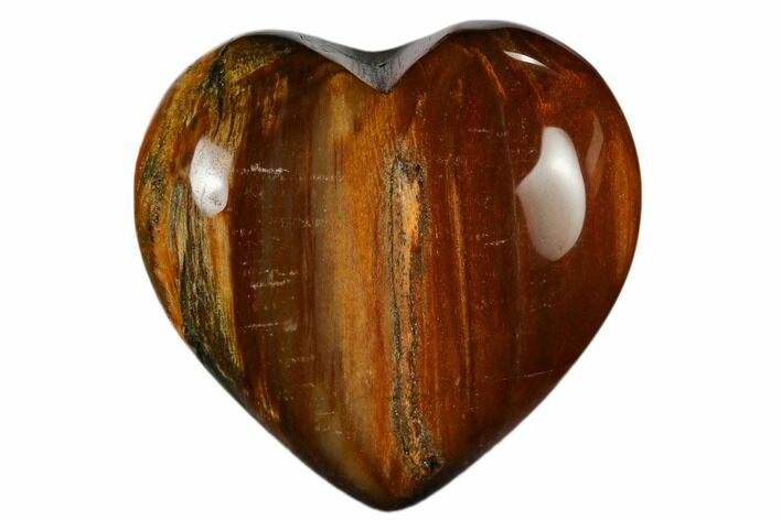 Polished, Triassic Petrified Wood Heart - Madagascar #115523